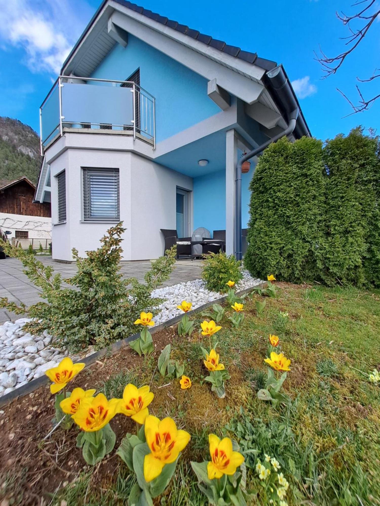 Bella Apartment Zirovnica Exterior photo